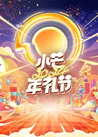 《小芒2024年礼节》：一场充满创意与惊喜的视听盛宴，感受传统文化的现代魅力